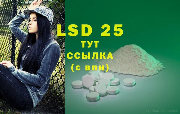 прущие грибы Лагань