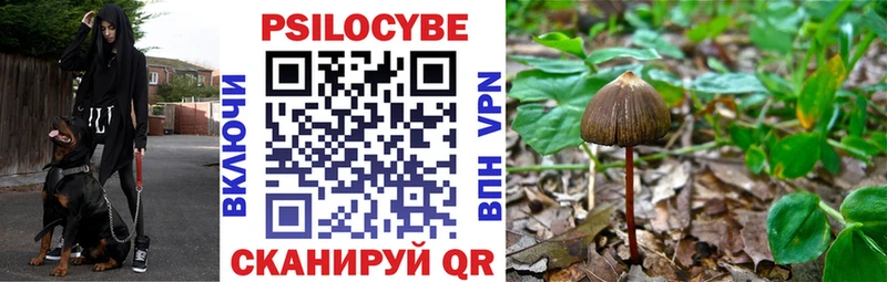 Псилоцибиновые грибы Psilocybine cubensis  Мензелинск 